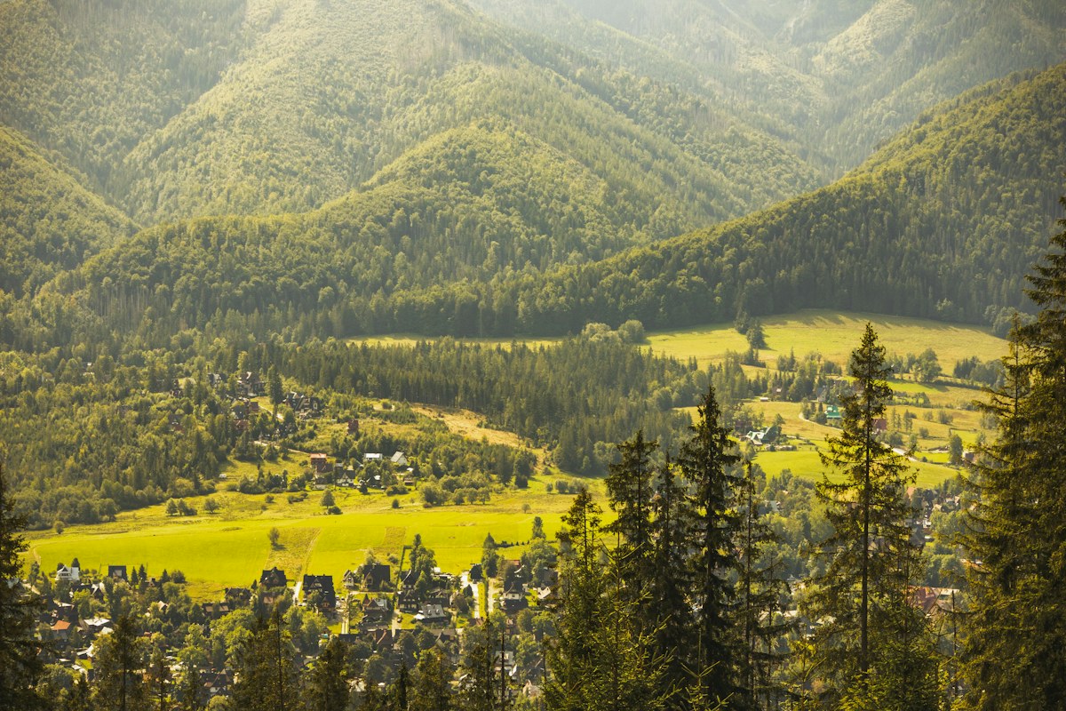 Panorama Zakopanego i Tatr